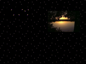 Fireflies Wallpaper Text0 Png