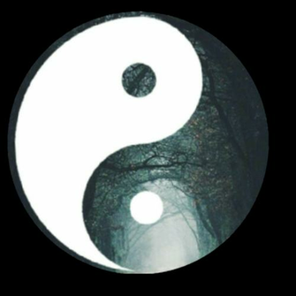 Transparent Ying Yang