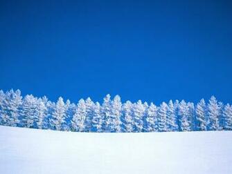 Snow Desktop Background Winter Wallpaper