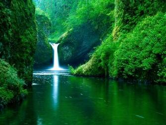 Wallpaper Beauty Of Nature Desktop