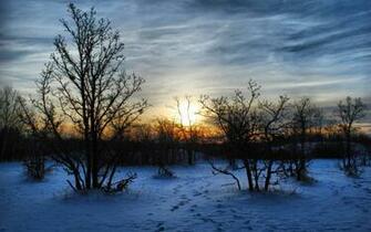 Winter Sunset Wallpaper