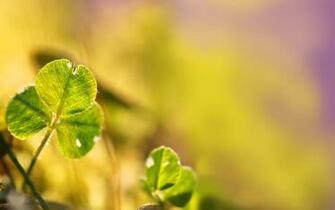 Spring Is Coming With Its Happyness Wallpaper Home Of