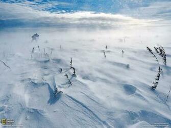 Photography Desktop Wallpaper National Geographic Magazine