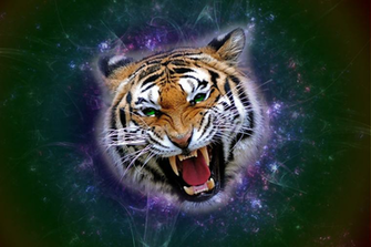 Angry Tiger By Bixile