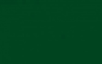 Resolution Forest Green Traditional Solid Color Background