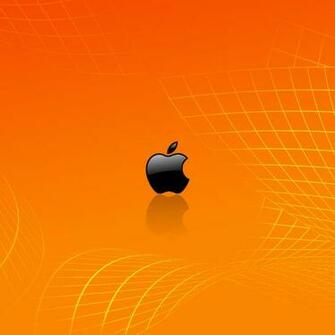Orange iPhone Wallpaper