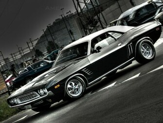 Sanchja L De American Muscle