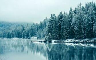 Winter Wallpaper HD Resolution Is Cool