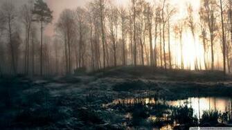 Early Morning Swamp Wallpaper