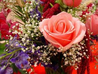 Go Back Pix For Beautiful Flower Scenery Wallpaper
