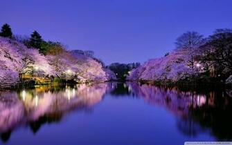 Osaka Japan 4k HD Desktop Wallpaper For Ultra Tv Wide