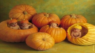Anne Geddes Wallpaper HD Photography Desktop Background
