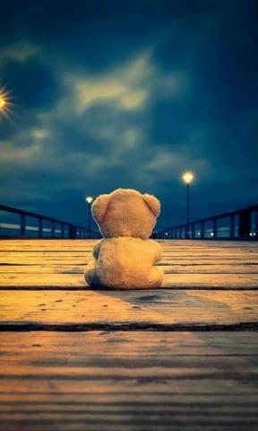 Top Teddy Ideas In Bear Pictures Cute