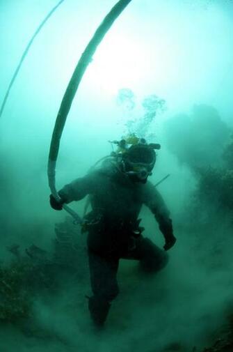Water Nature Walk Scuba Diving Underwater Sea Art