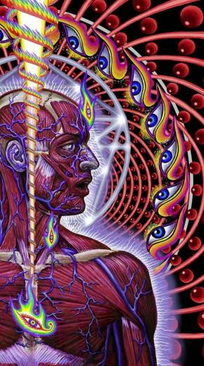 Lateralus Wallpaper Posted By Ethan Mercado