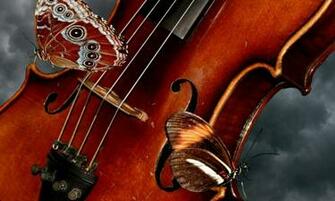 Of Beautiful Violin Wallpaper If You Enjoy