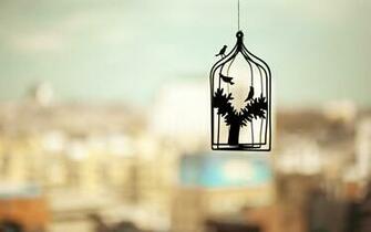 Nature Photography Artist Wallpaper Artistic