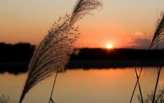Quality High Desktop Background Image Search Wallpaper Banzai Jpg
