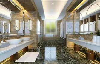High End Public Toilet Interior Design