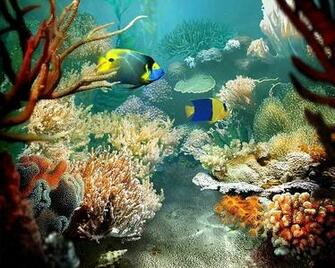 ChristianHDwallpaper Coral Reef Wallpaper