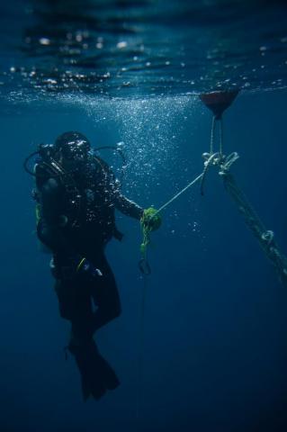Task Force Koa Moana Leon Marines Identify Underwater Manmade