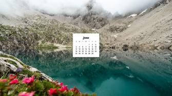 June Wallpaper Bies For Desktop Phones