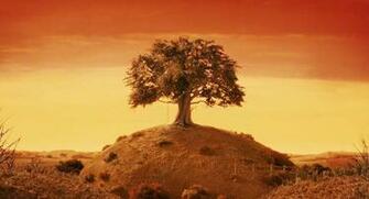 Animation Movie Geek Fantastic Mr Fox Wallpaper