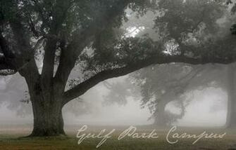 Wallpaper The University Of Southern Mississippi Gulf Coast