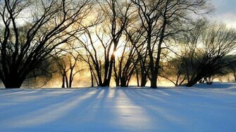 Winter Solstice Wallpaper