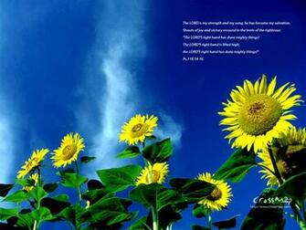 Sout For Joy Wallpaper Christian And Background