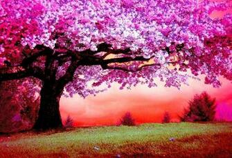 Pink Trees Computer Wallpaper Desktop Background
