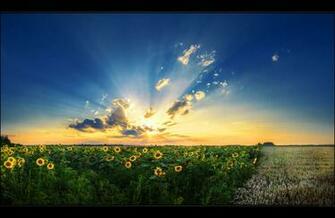 Dreamscape Wallpaper
