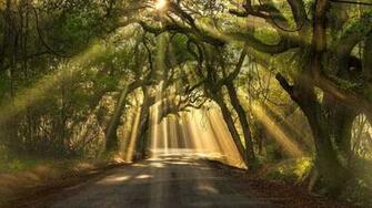 Road Edisto Island South Carolina Michael Woloszynowicz 500px