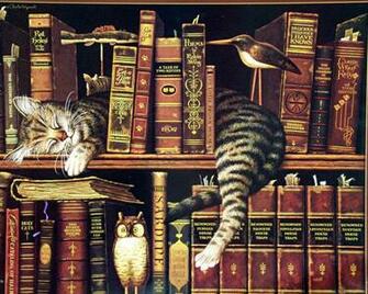 Cats