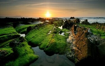 Amazing Nature HD Wallpaper