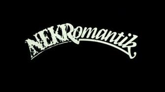Nekromantik Arrow Video Limited Edition Bluray Dvd Cd Combo