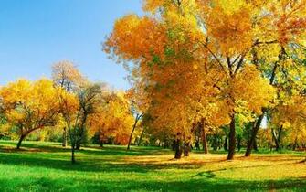 All 4u HD Wallpaper Beautiful Natural