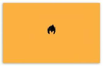 Vegeta Hair HD Wallpaper For Standard Fullscreen Uxga Xga Svga