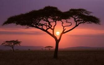 African Sunset Wallpaper HD