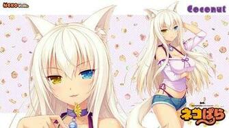 Nekopara Vol Coconut Steam Trading Cards Wiki Wikia