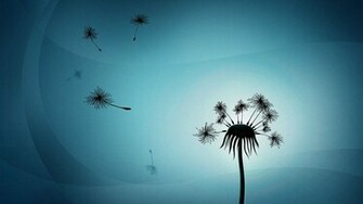 Dandelion Wallpaper
