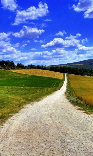 Nature Wallpaper Pack Especially For The Owners Of Htc HD2 This