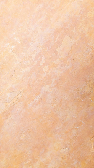 Beige Minimalist Wallpaper