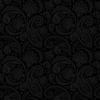 Black Paisley Image Crazy Gallery