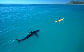 Under The Ocean Wallpaper Category Of HD Life