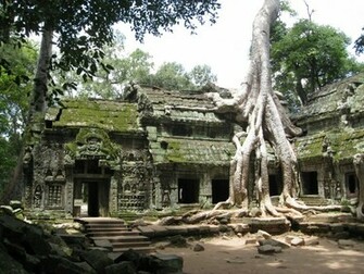 Kayla Delgado Angkor Wat Wallpaper