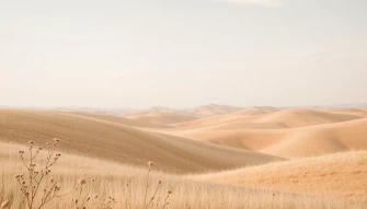 Beige Nature Wallpaper