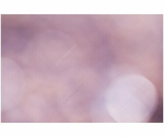 Purple Background Light Violet Backfround Catalog