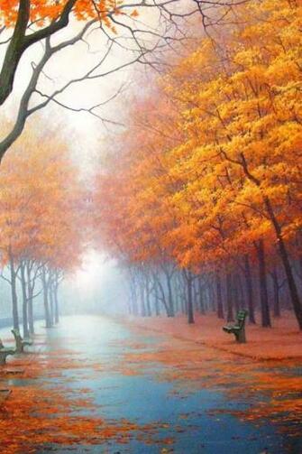 Autumn Road iPhone 4s Wallpaper iPad