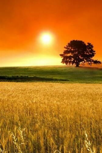 Wallpaper Nature Photos Of Best Place To Find For iPhone